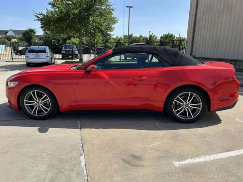 Used 2017 Ford Mustang Premium image 6
