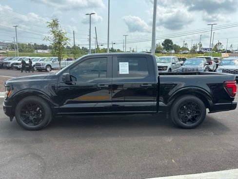 Used 2024 Ford F150 STX w/ STX Black Appearance Package AWD/4WD image 4