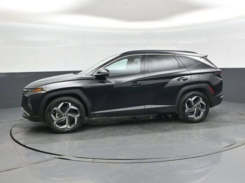 Used 2024 Hyundai Tucson Limited image 7