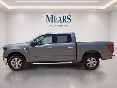 Used 2025 Ford F150 XLT w/ Equipment Group 301A Standard