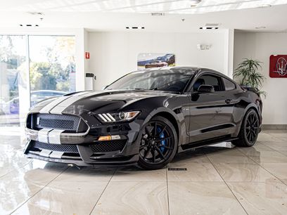 Used 2017 Ford Mustang Shelby GT350