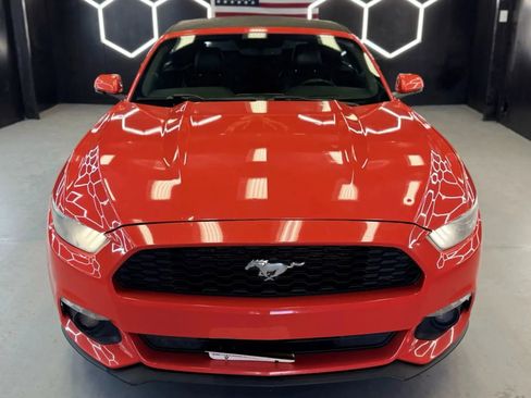 Used 2015 Ford Mustang Premium w/ Equipment Group 201A RWD image 3