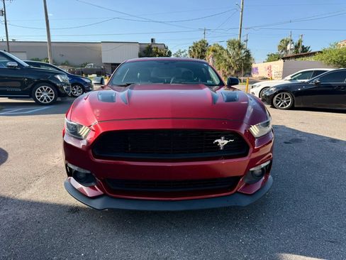 Used 2017 Ford Mustang GT Premium w/ Equipment Group 401A RWD image 8