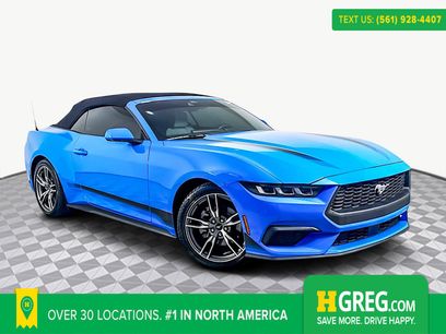 Used 2024 Ford Mustang Convertible w/ Wheel & Stripe Package