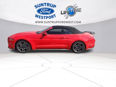 Used 2018 Ford Mustang Premium w/ Equipment Group 201A