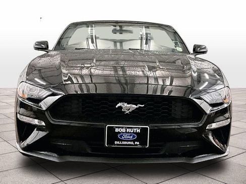 Used 2020 Ford Mustang Premium RWD image 3