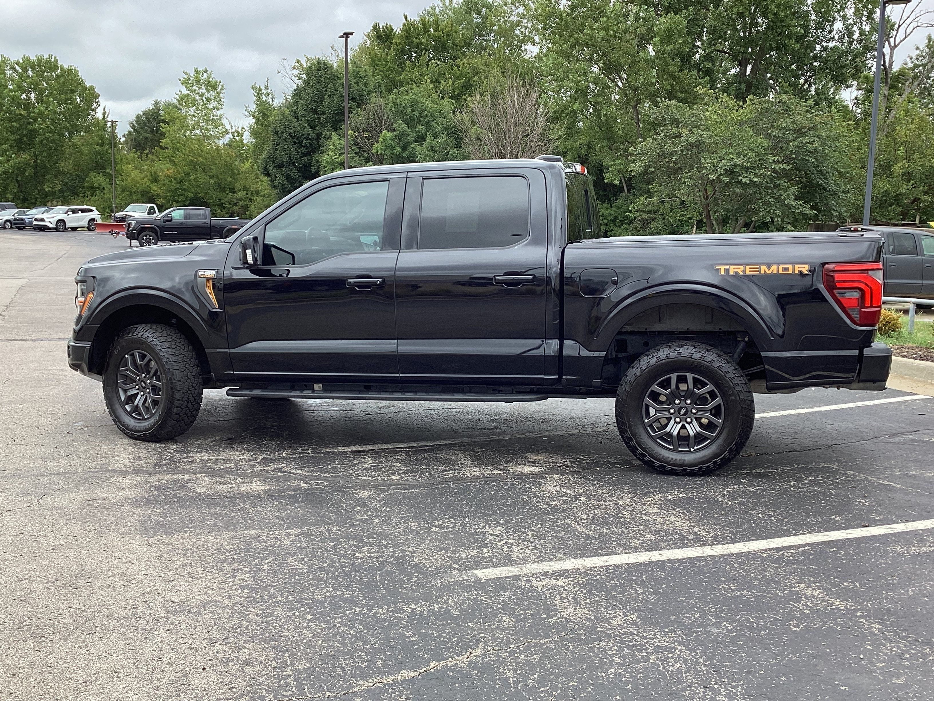 Used 2025 Ford F150 Tremor w/ Equipment Group 402A High AWD/4WD image 19