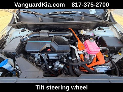 Used 2024 Kia Sportage EX w/ EX Premium Package image 30