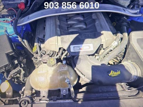 Used 2017 Ford Mustang GT Premium w/ Black Accent Package image 6