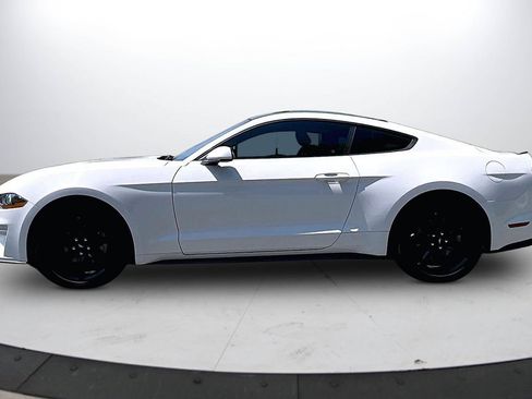 Used 2019 Ford Mustang Coupe w/ Equipment Group 101A RWD image 5