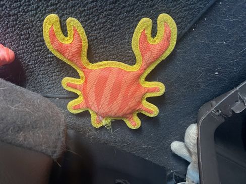 Used 2023 GMC Sierra 1500 Denali w/ Technology Package image 7