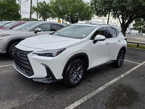Certified 2025 Lexus NX 250 FWD w/ Cold Area Package image 14