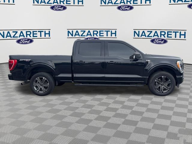 Used 2023 Ford F150 XLT w/ Equipment Group 302A High AWD/4WD image 5