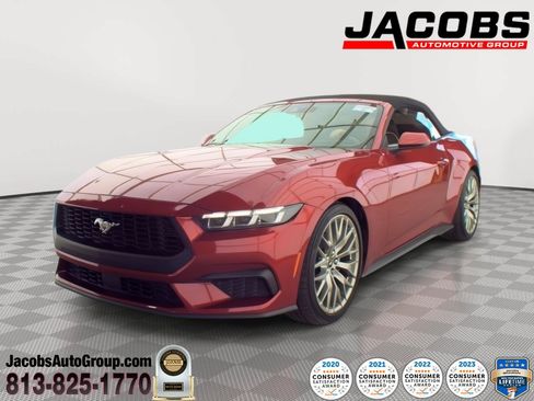 Used 2024 Ford Mustang Premium RWD image 1