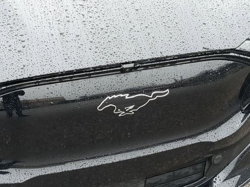 Used 2021 Ford Mustang Mach-E Premium image 16