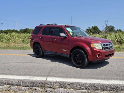 Used 2008 Ford Escape XLT FWD image 1