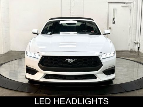 Used 2024 Ford Mustang Premium RWD image 12