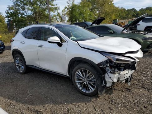 Used 2025 Lexus NX 350h AWD w/ Luxury Package image 1