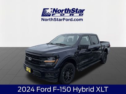 Used 2024 Ford F150 XLT w/ Equipment Group 302A MID