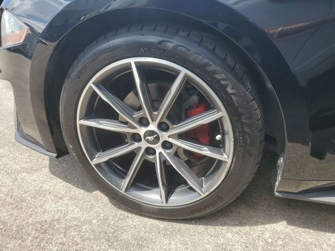 Used 2019 Ford Mustang Premium w/ Equipment Group 201A RWD image 7