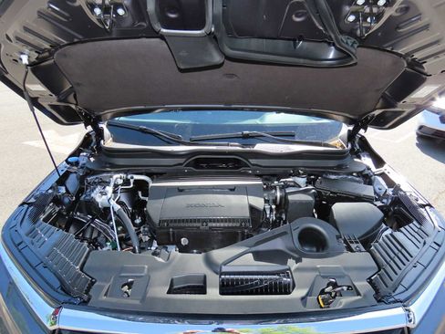 New 2025 Honda Pilot EX-L image 9