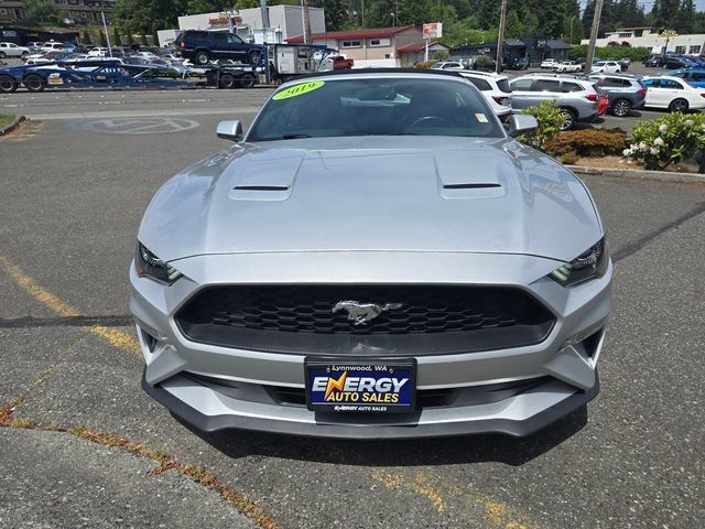 Used 2019 Ford Mustang Premium RWD image 2