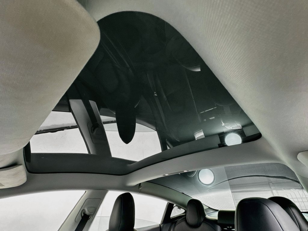 Used 2019 Tesla Model 3 Standard Range RWD image 14