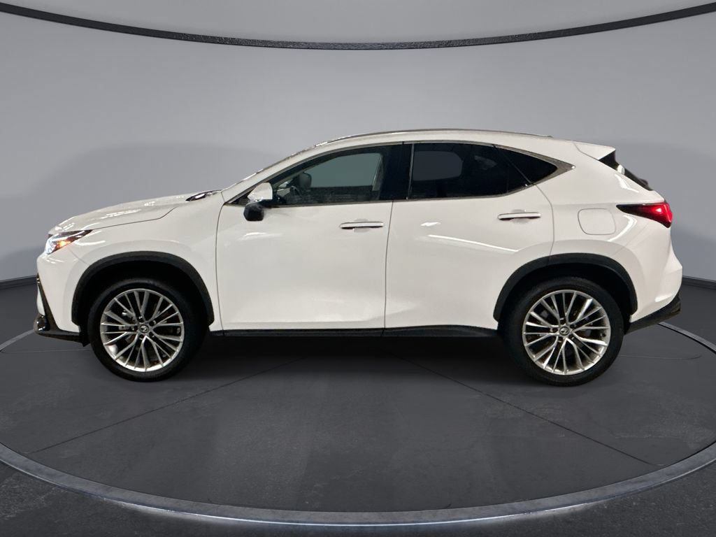 New 2026 Lexus NX 350 AWD w/ Accessory Package (Z1) image 5
