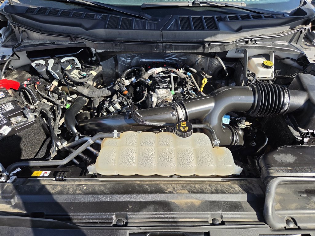 Used 2025 Ford F150 XLT w/ Equipment Group 301A Standard AWD/4WD image 29