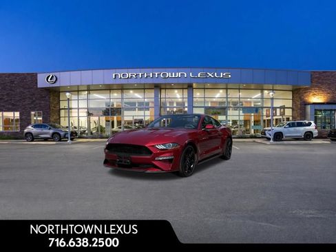 Used 2019 Ford Mustang Coupe w/ Equipment Group 101A RWD image 1