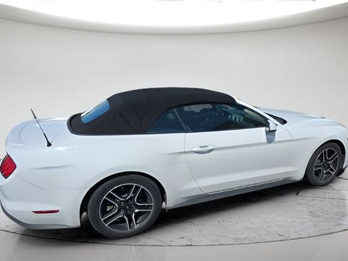 Used 2018 Ford Mustang Premium RWD image 2