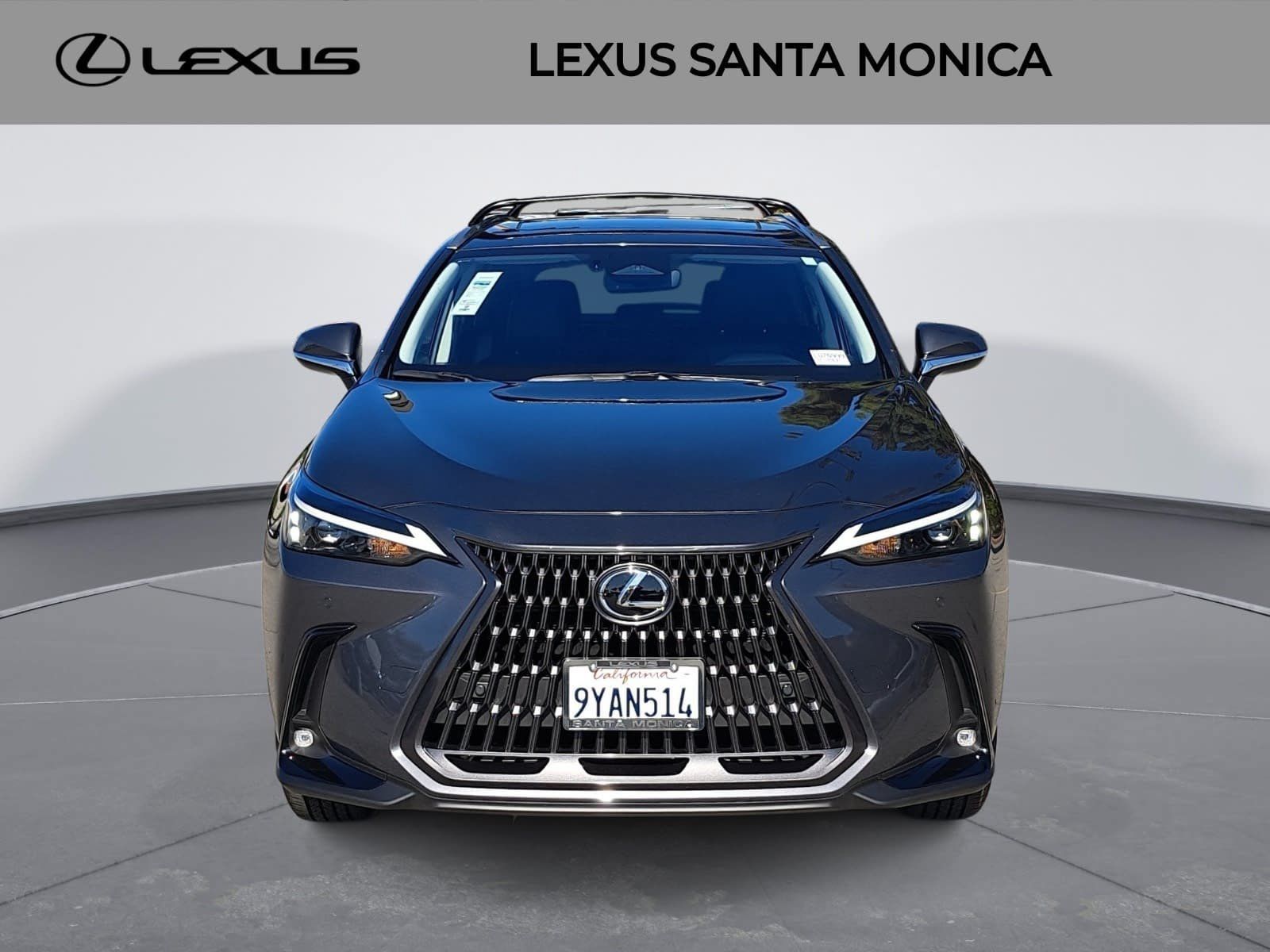 Used 2026 Lexus NX 350h AWD w/ Premium Package image 2