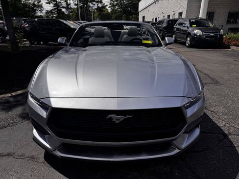 Used 2024 Ford Mustang Premium RWD image 2
