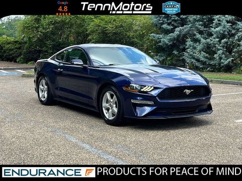 Used 2019 Ford Mustang Coupe RWD image 3