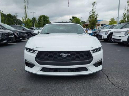 Used 2024 Ford Mustang Premium RWD image 2