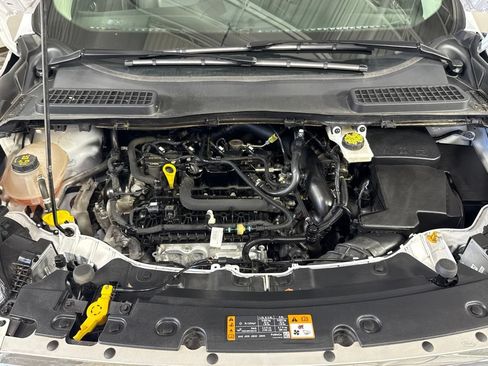 Used 2019 Ford Escape SEL AWD/4WD image 4