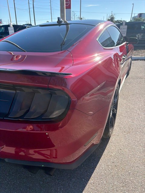 Used 2020 Ford Mustang GT w/ Equipment Group 301A RWD image 3