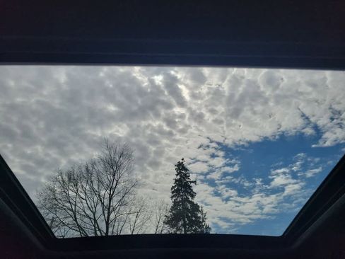 Used 2025 Subaru Forester Premium image 15