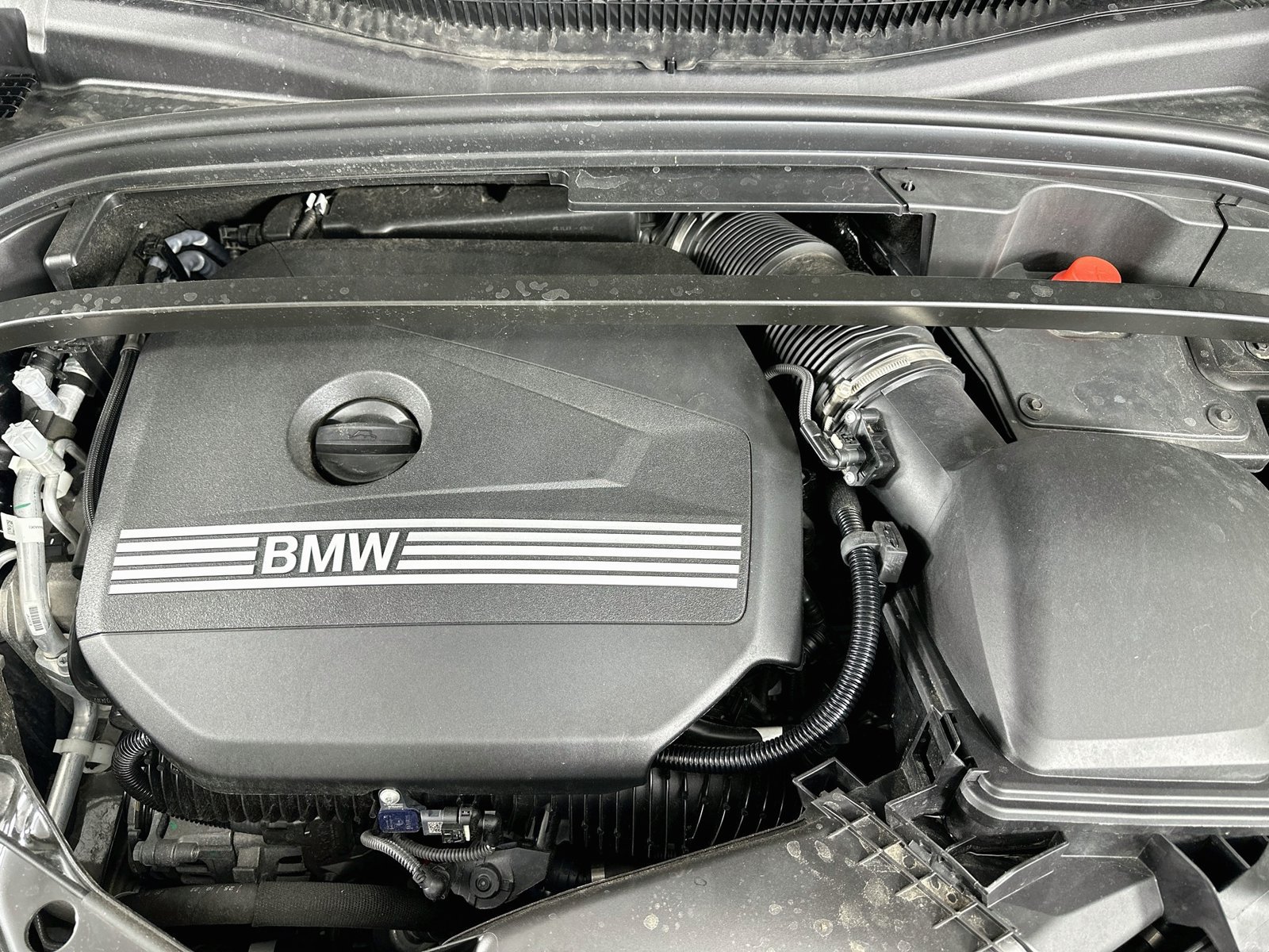 Used 2024 BMW X1 xDrive28i w/ Convenience Package AWD/4WD image 13