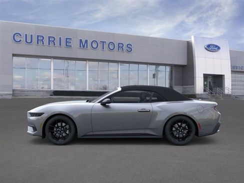 New 2026 Ford Mustang Convertible w/ Mustang Nite Pony Package RWD image 3