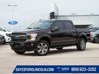 Used 2019 Ford F150 XLT w/ Equipment Group 302A Luxury video 1