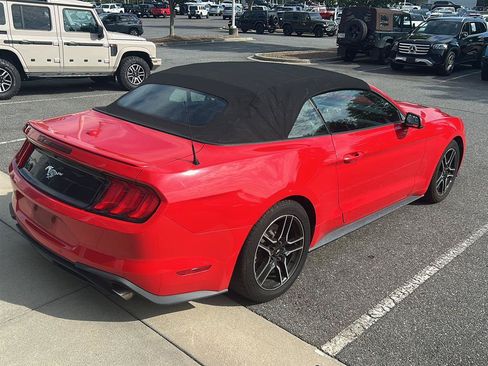Used 2019 Ford Mustang Premium RWD image 5