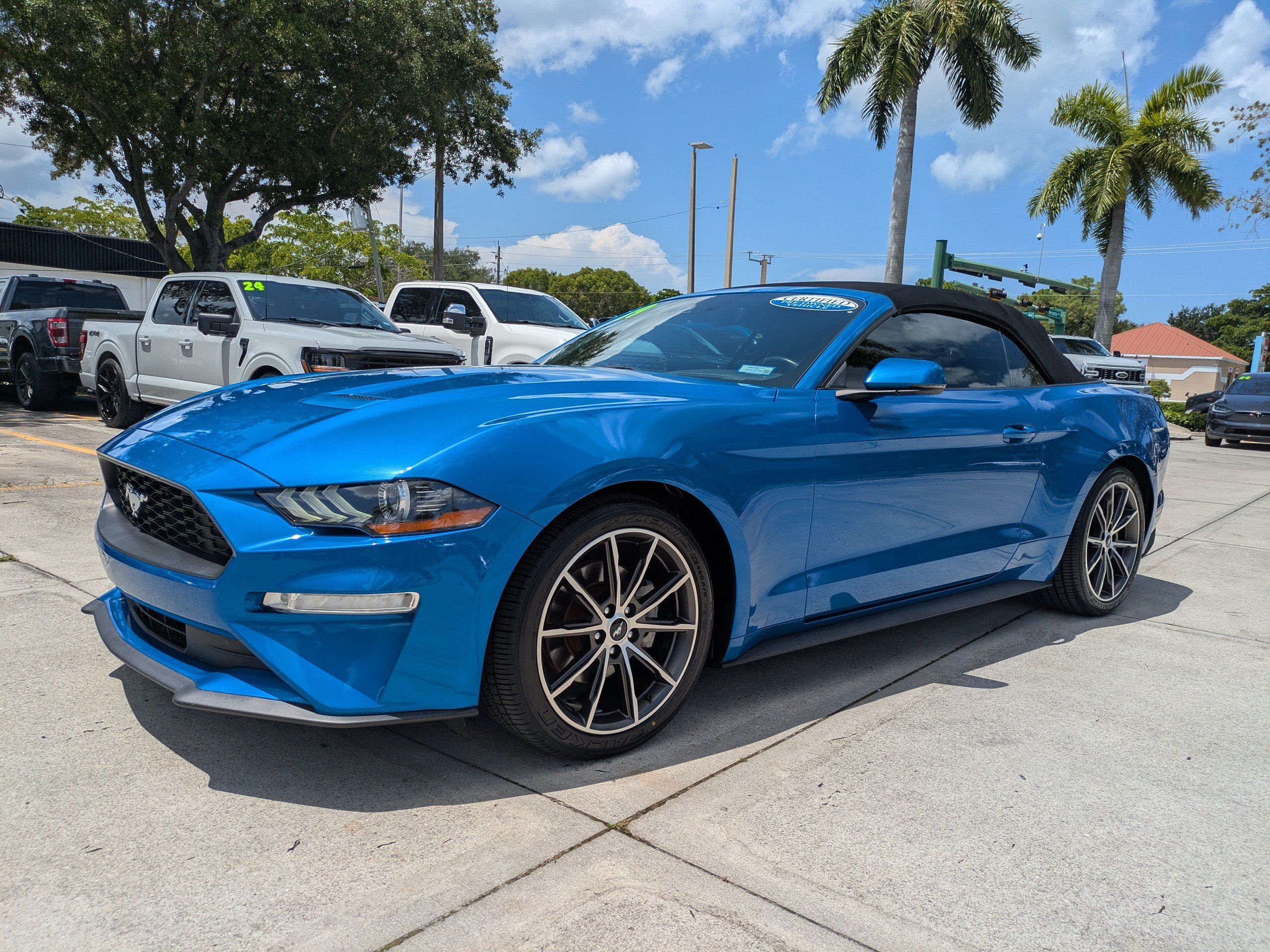 Used 2019 Ford Mustang Premium w/ Equipment Group 201A RWD image 7