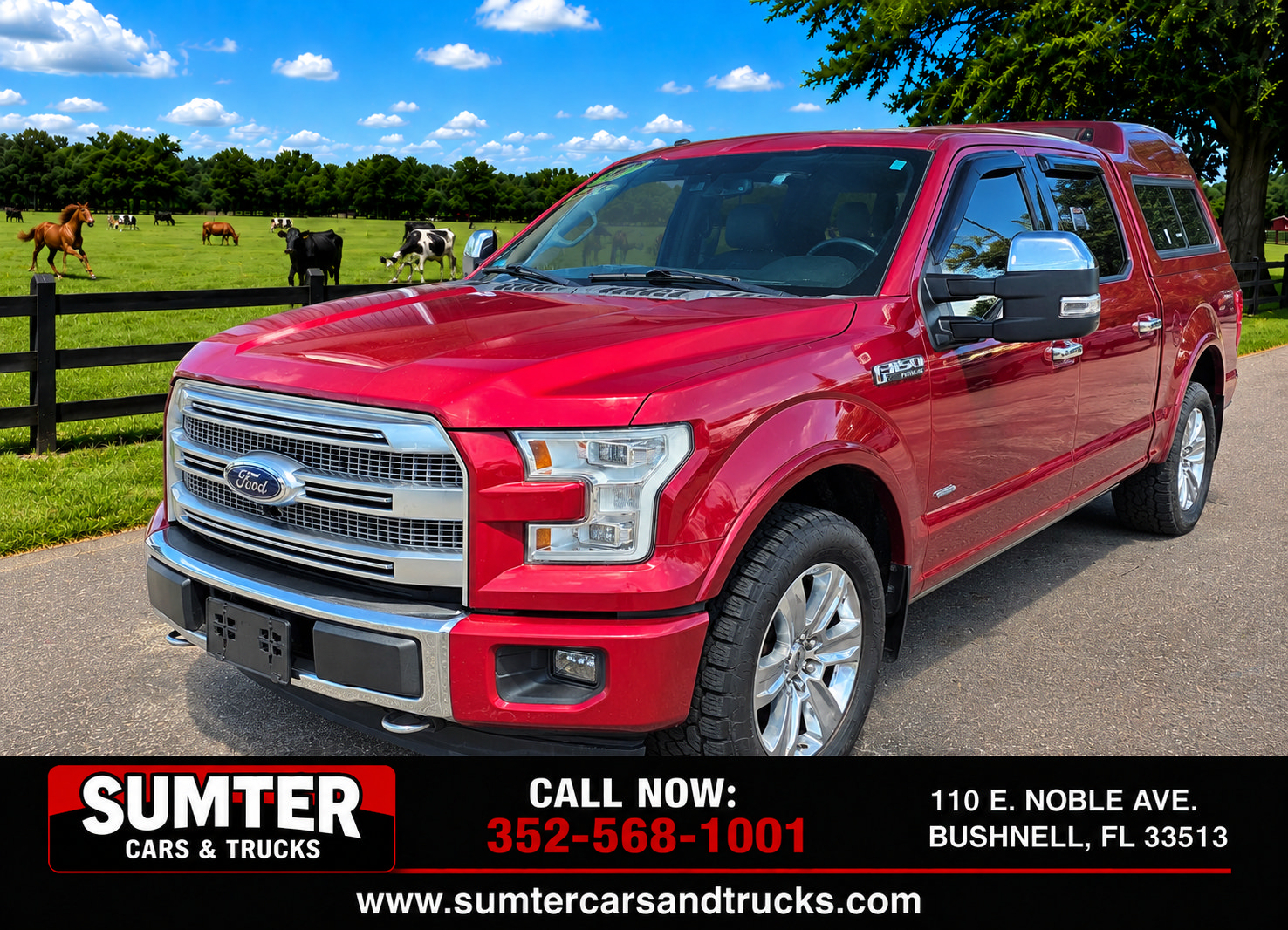 Used 2017 Ford F150 Platinum w/ Equipment Group 701A Luxury AWD/4WD image 1