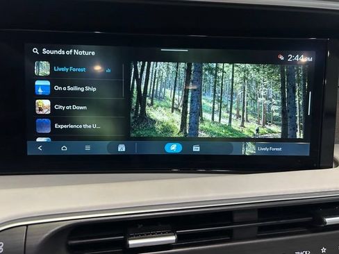 Used 2026 Hyundai Palisade SEL Premium FWD image 59