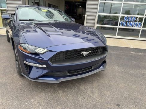 Used 2018 Ford Mustang Premium w/ Equipment Group 201A RWD image 5