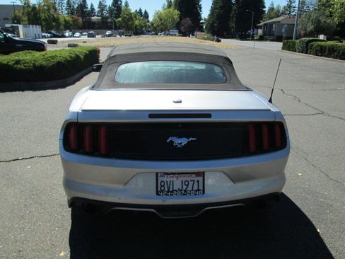 Used 2015 Ford Mustang Premium RWD image 6