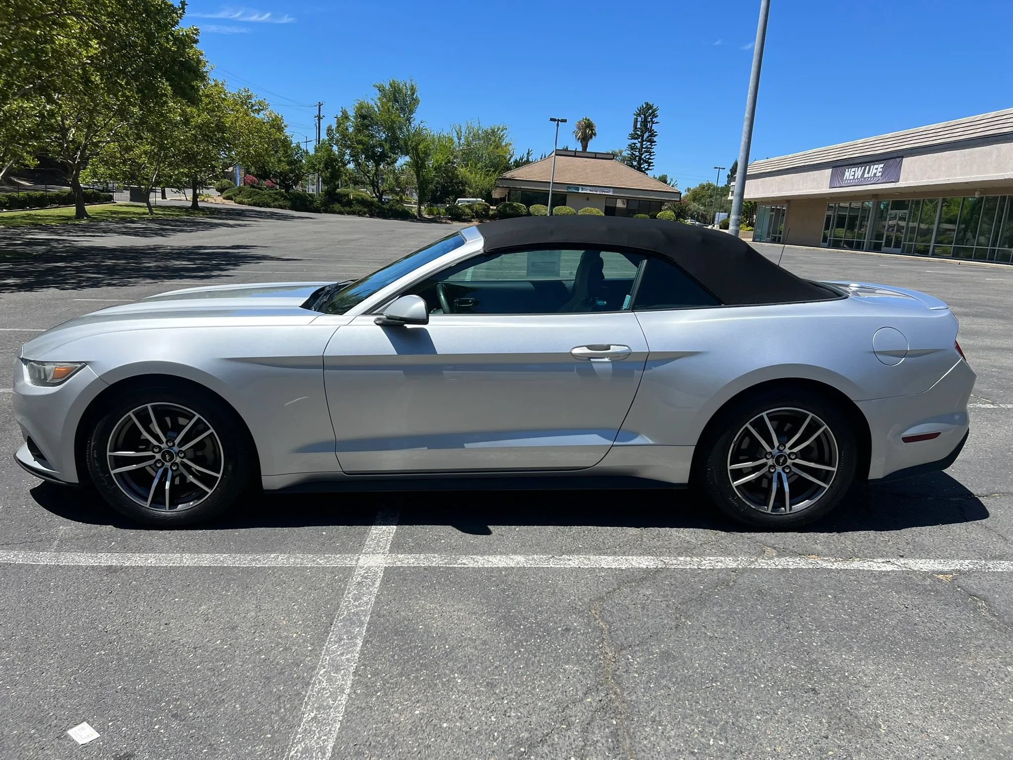 Used 2017 Ford Mustang Premium RWD image 8