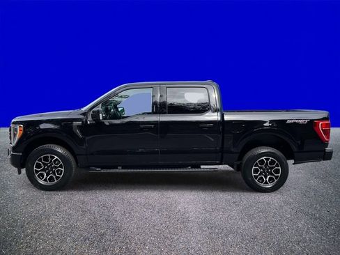 Certified 2023 Ford F150 XLT w/ Equipment Group 302A High AWD/4WD image 6