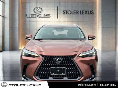 Used 2025 Lexus NX 350 AWD w/ Cold Area Package image 2